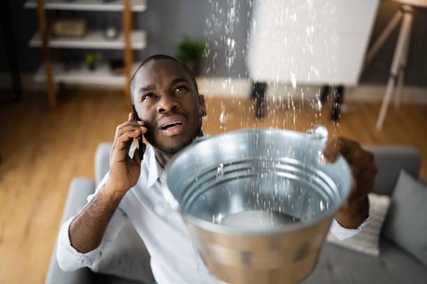 Water damage restoration mold remediation in Bentleyville, PA