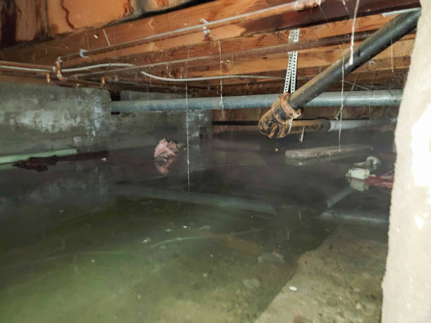  Bentleyville, PA Water damage restoration Pros