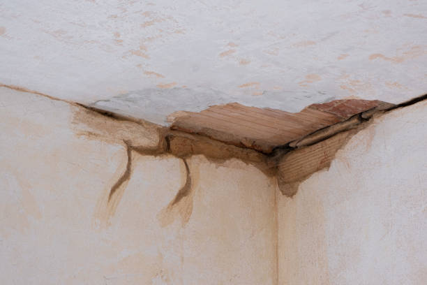 Trusted Bentleyville, PA Water damage restoration Experts
