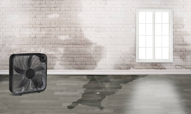Best 24-hour water damage restoration  in Bentleyville, PA