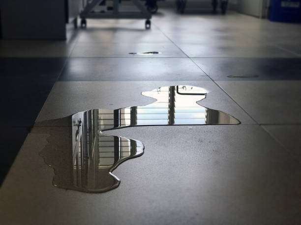 Best Professional water damage repair  in Bentleyville, PA