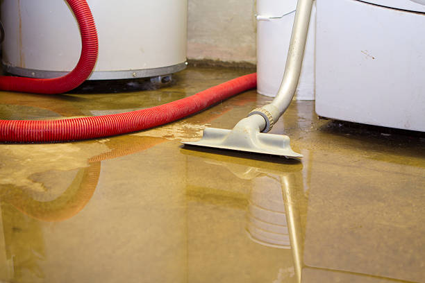 Best Fire Damage Restoration  in Bentleyville, PA