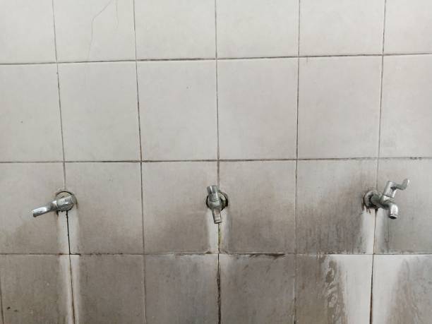 Best Flood restoration services  in Bentleyville, PA