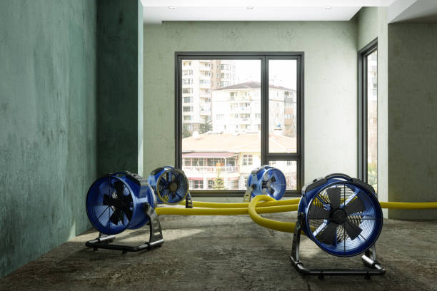 Best Sewage cleanup and water damage restoration  in Bentleyville, PA