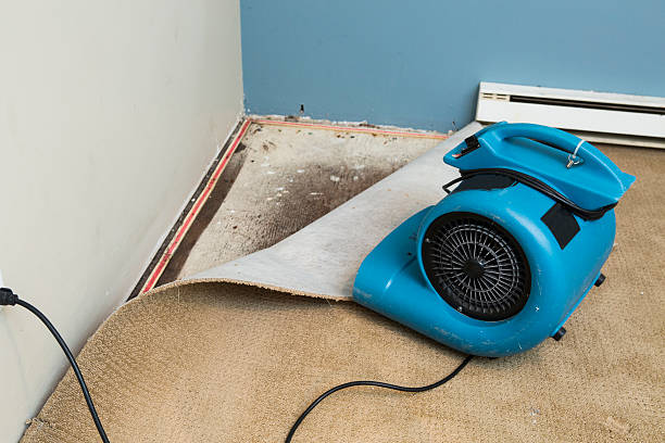 Best Fire Damage Restoration  in Bentleyville, PA