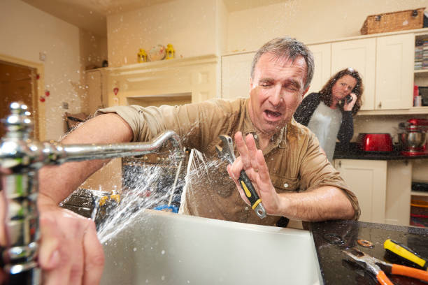 Best Water damage cleanup near me  in Bentleyville, PA